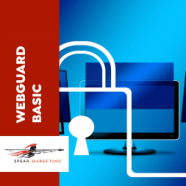 WebGuard Basic Annual Licence